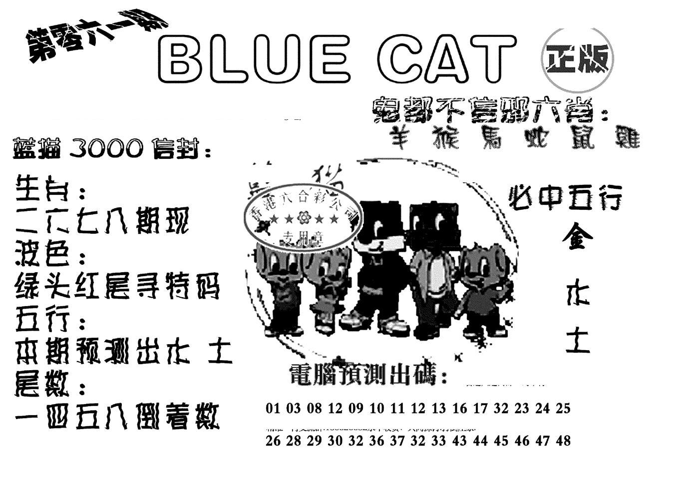 蓝猫Blue Cat-61