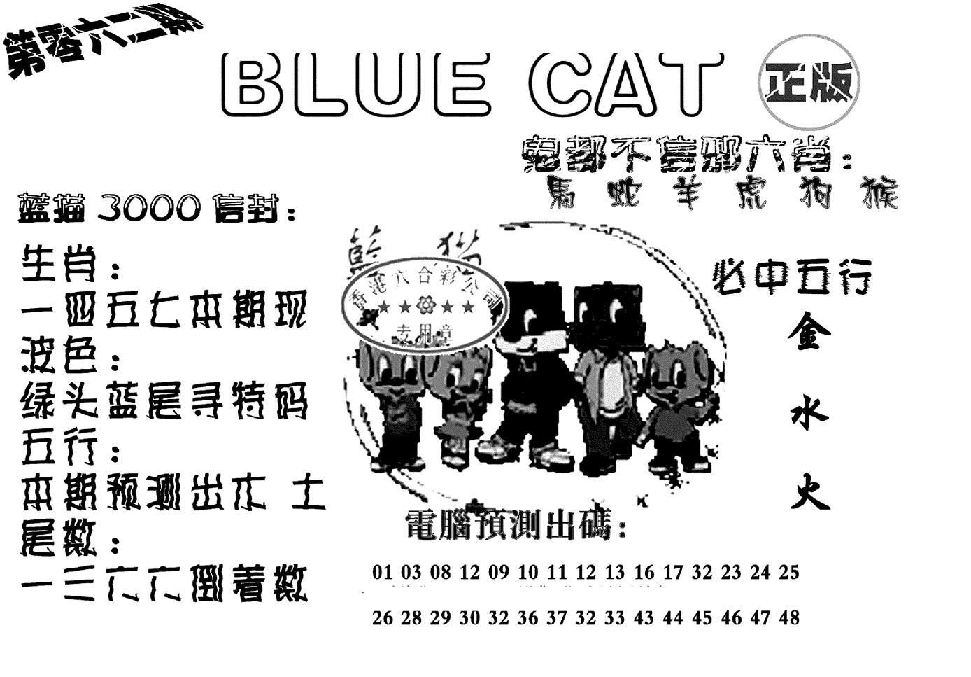 蓝猫Blue Cat-62