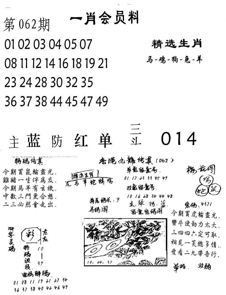 一肖会员料-62