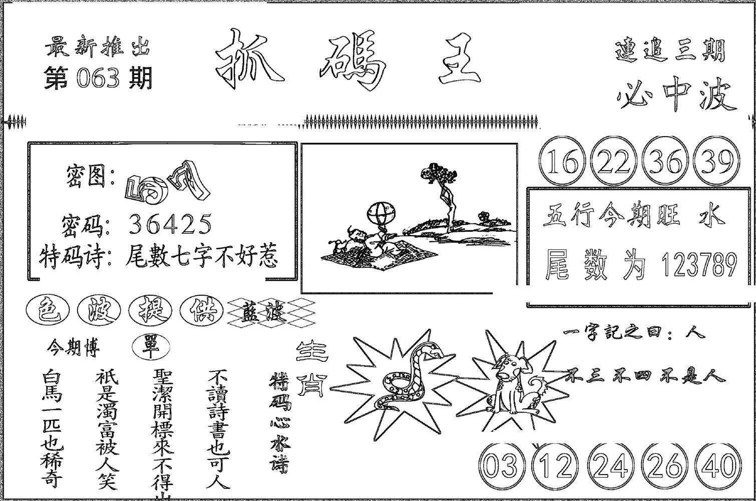 抓码王-63