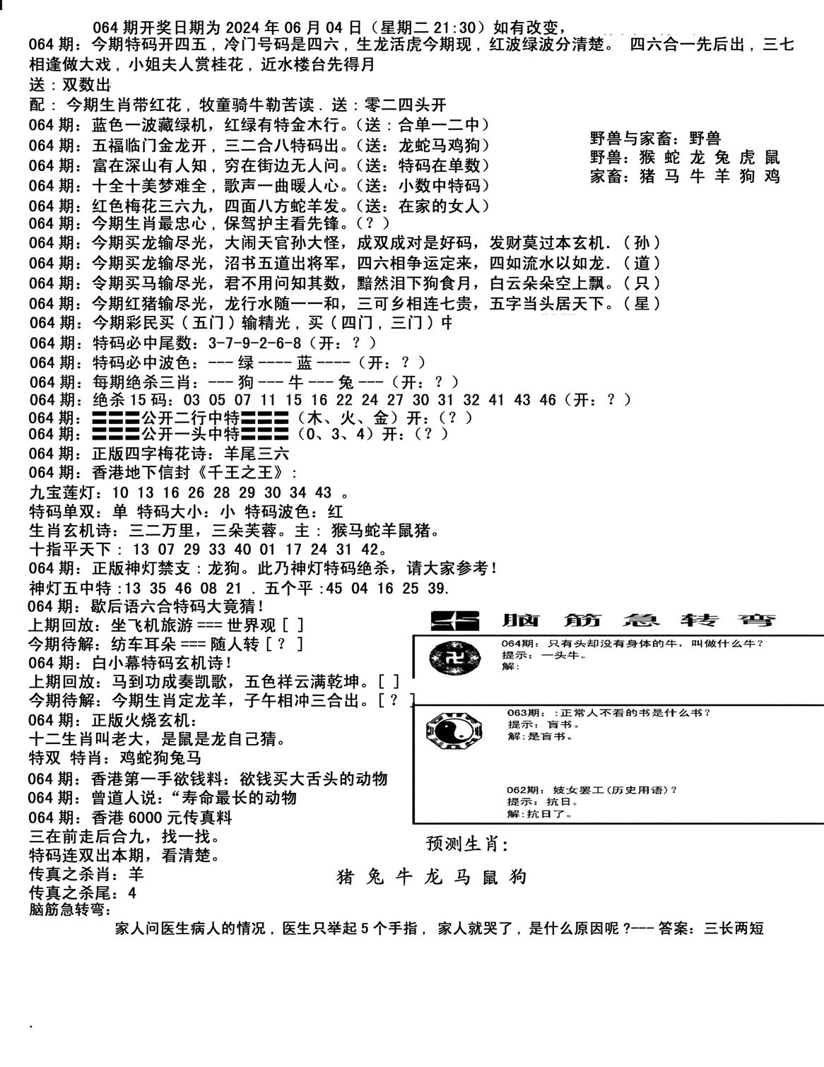 马会小综合-64