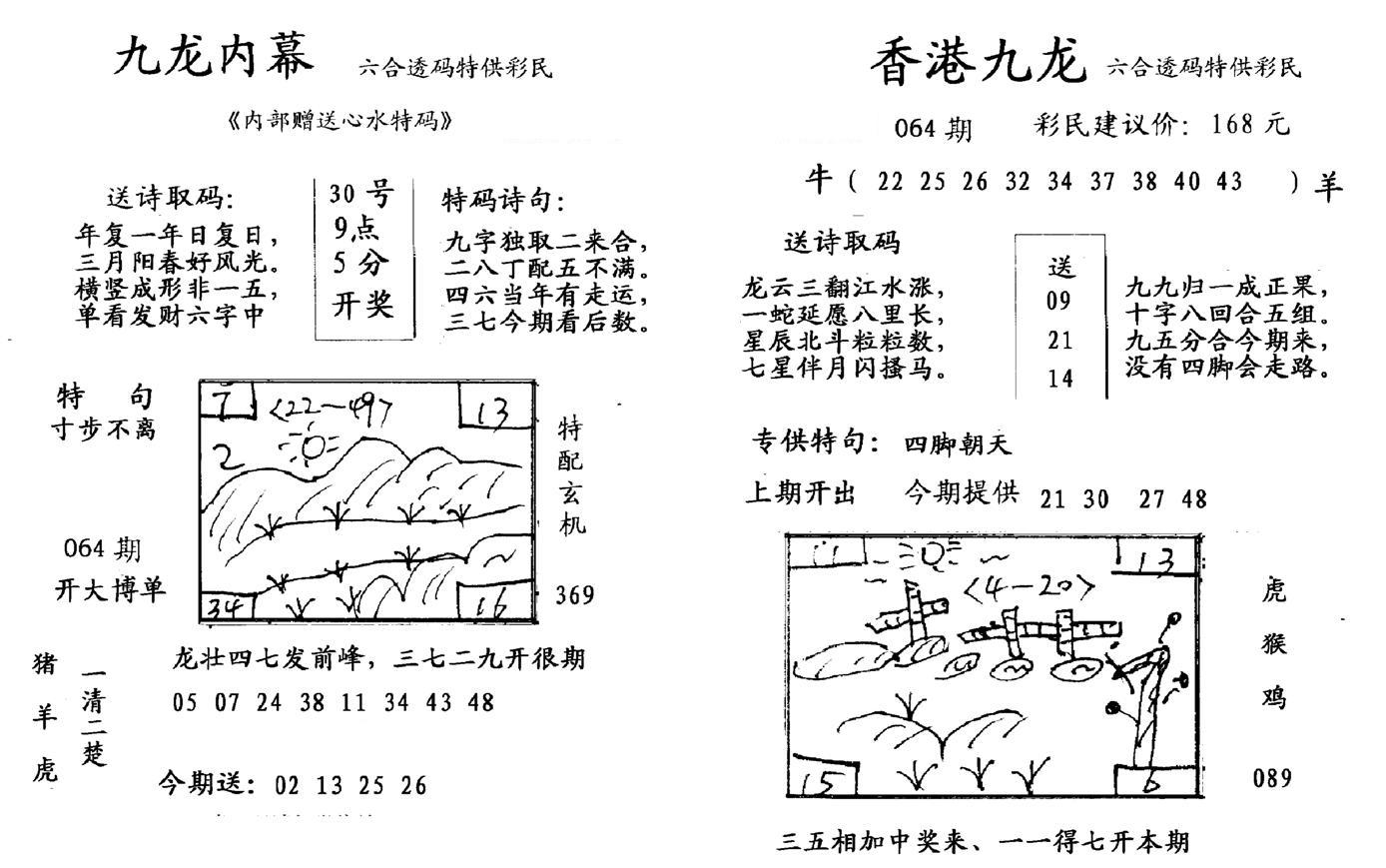 九龙内幕--开奖报-64