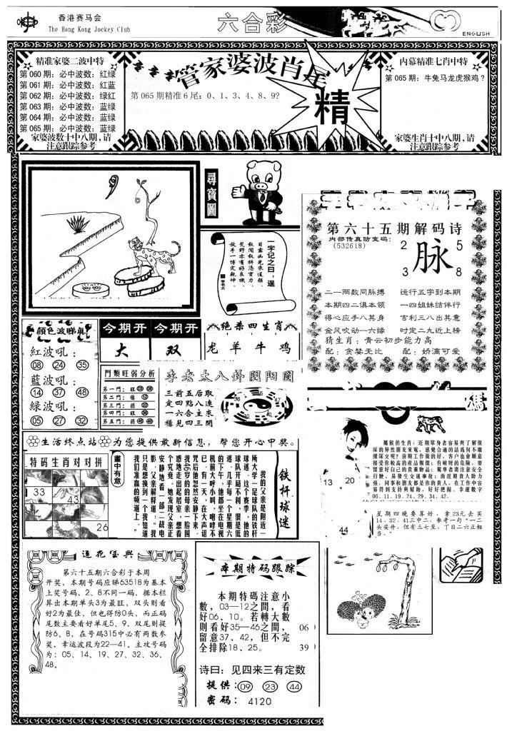 管家婆-波肖尾版(热)-65