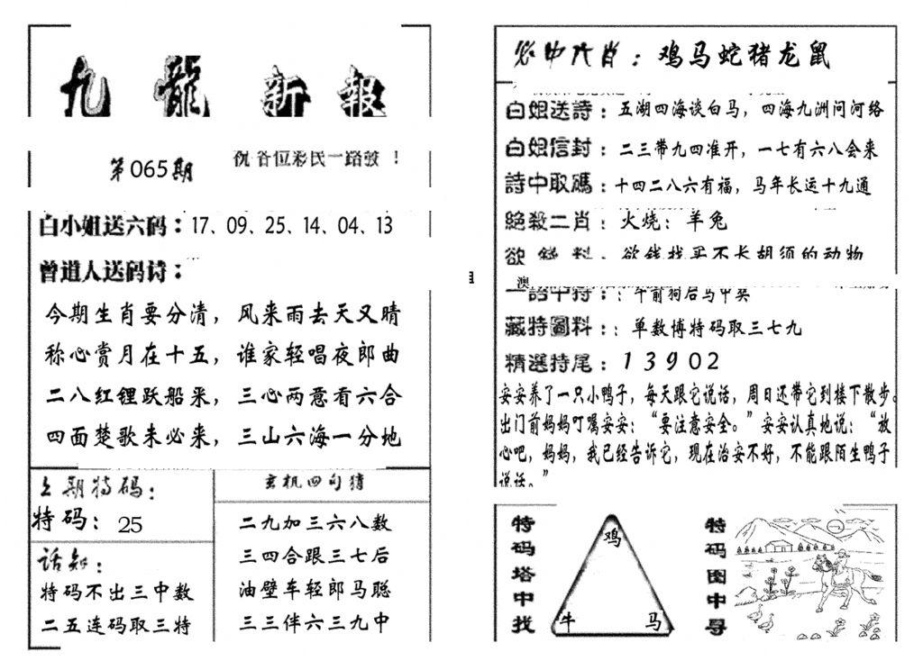 九龙新报(生肖版)-65