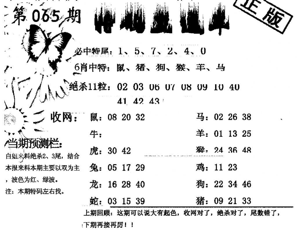 特码直通车-65