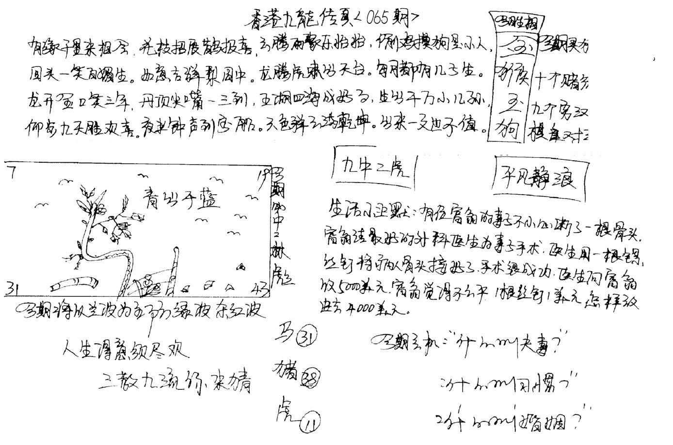 正版手写九龙-65