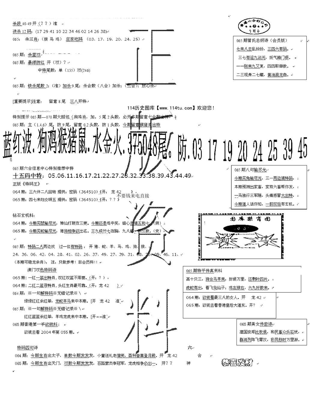 正版资料-65