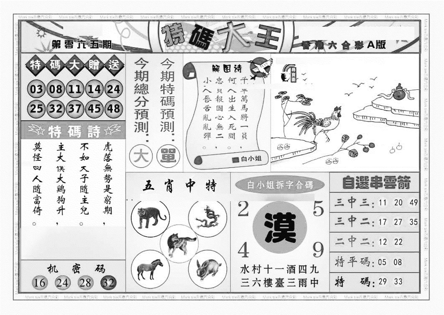 特码大王A（新图）-65