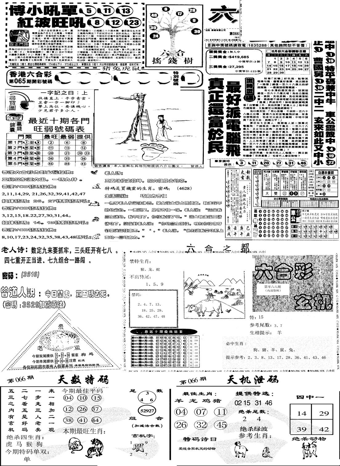 当日报-6-66