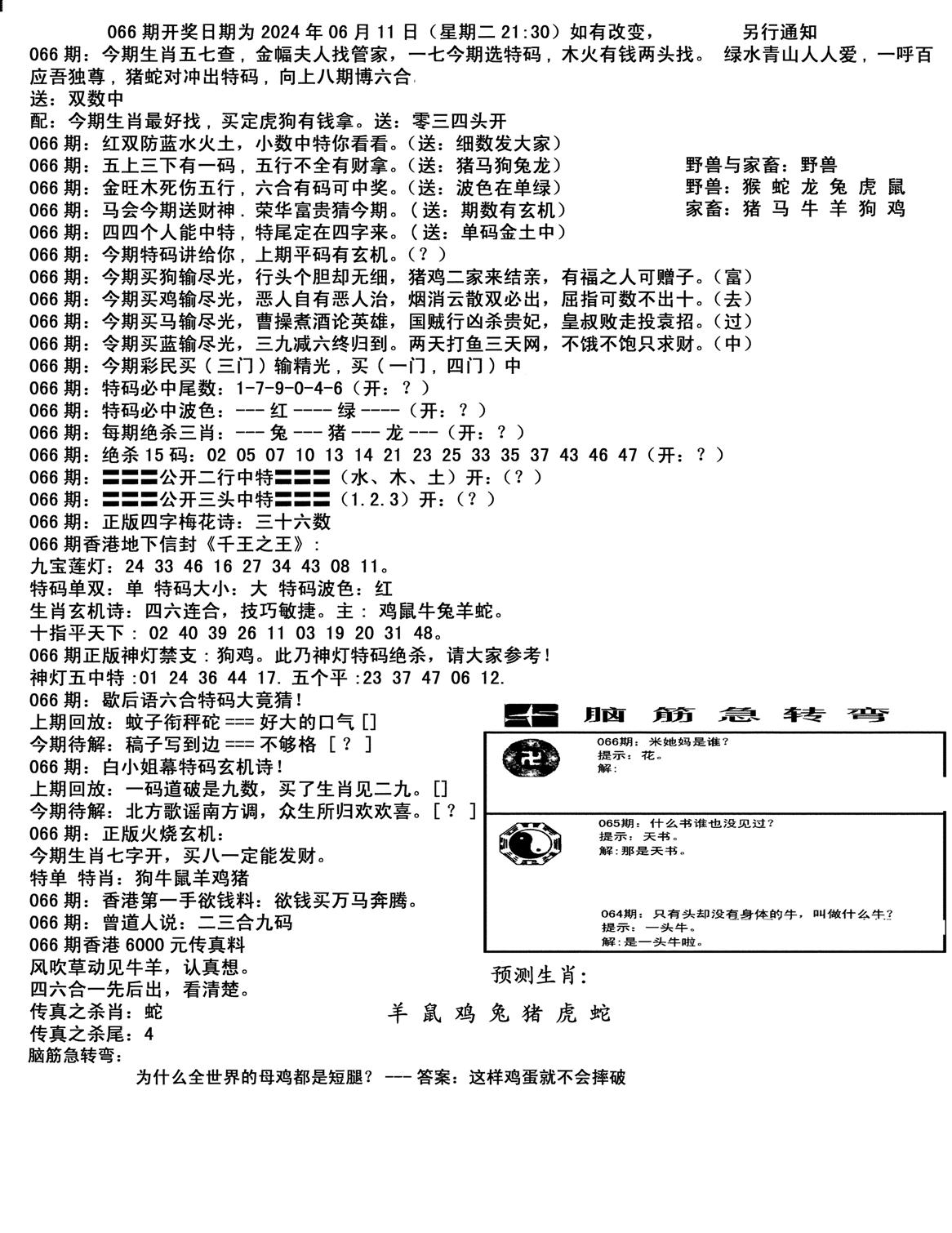 马会小综合-66