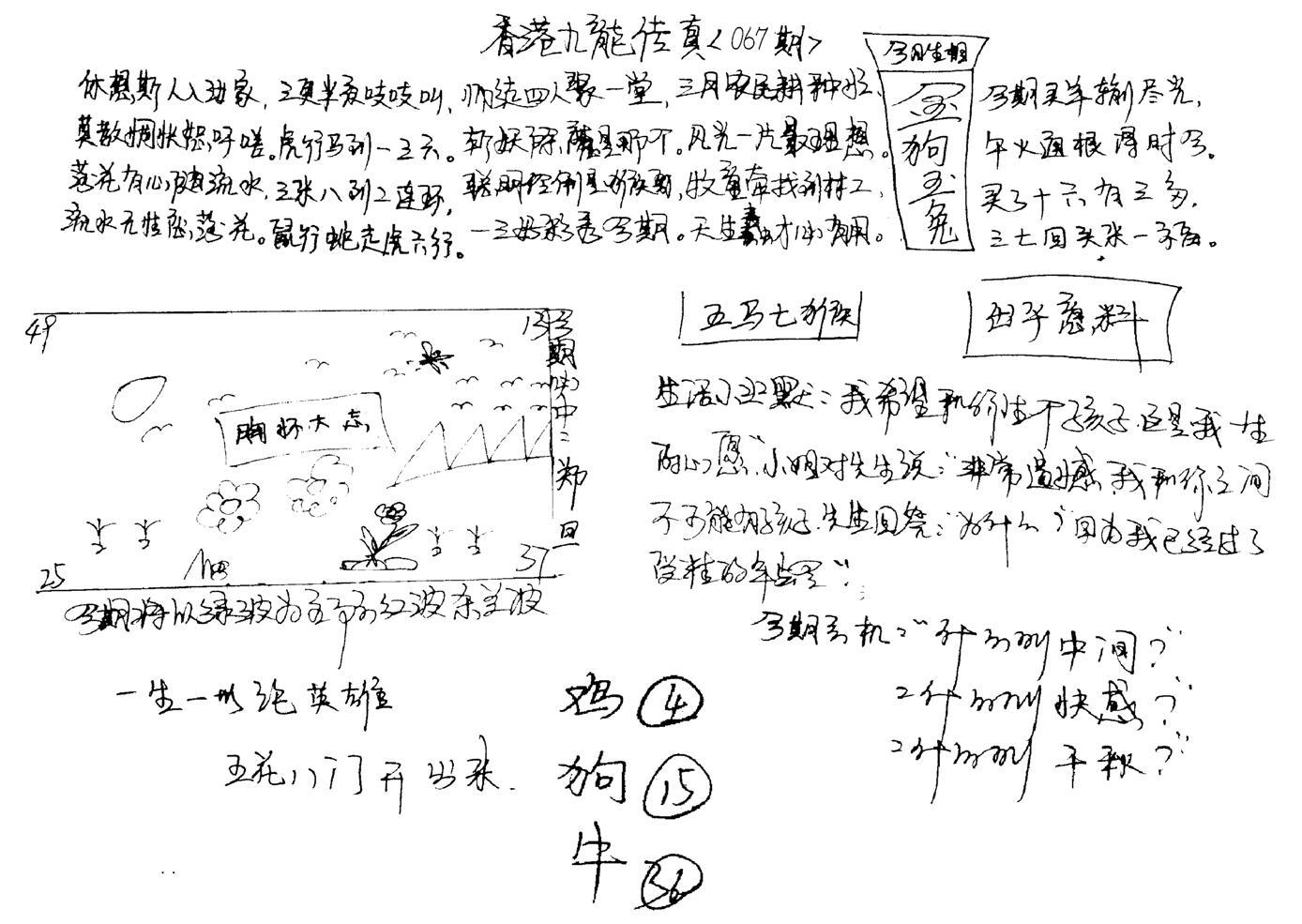 正版手写九龙-66