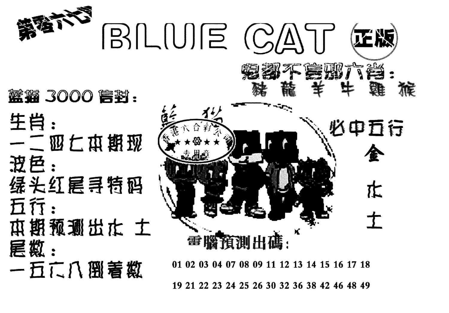 蓝猫Blue Cat-67