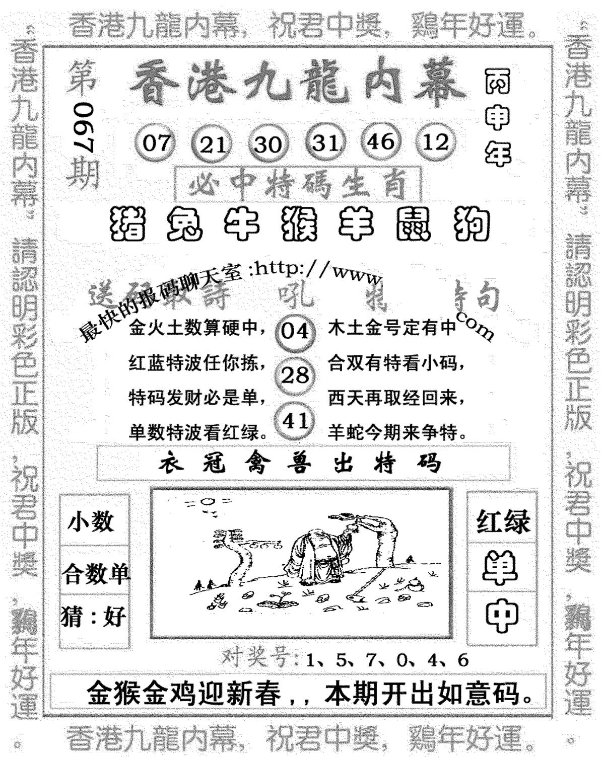 九龙内幕七肖图(新图)-67