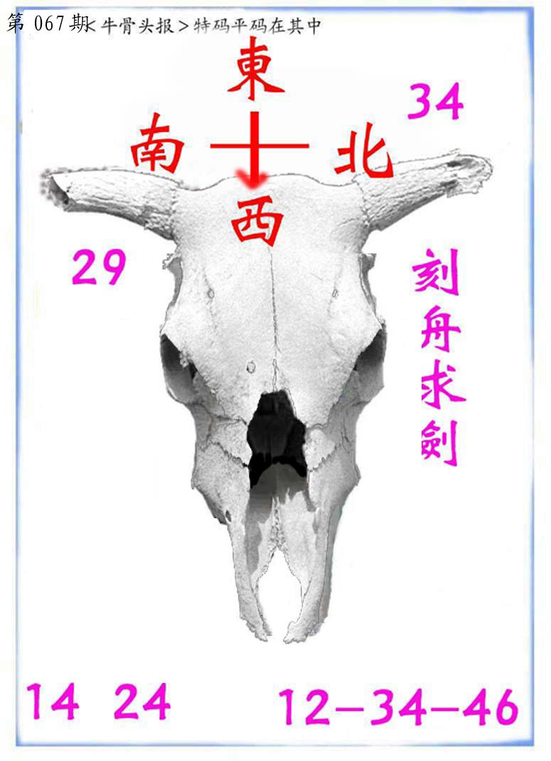 牛派系列7-67