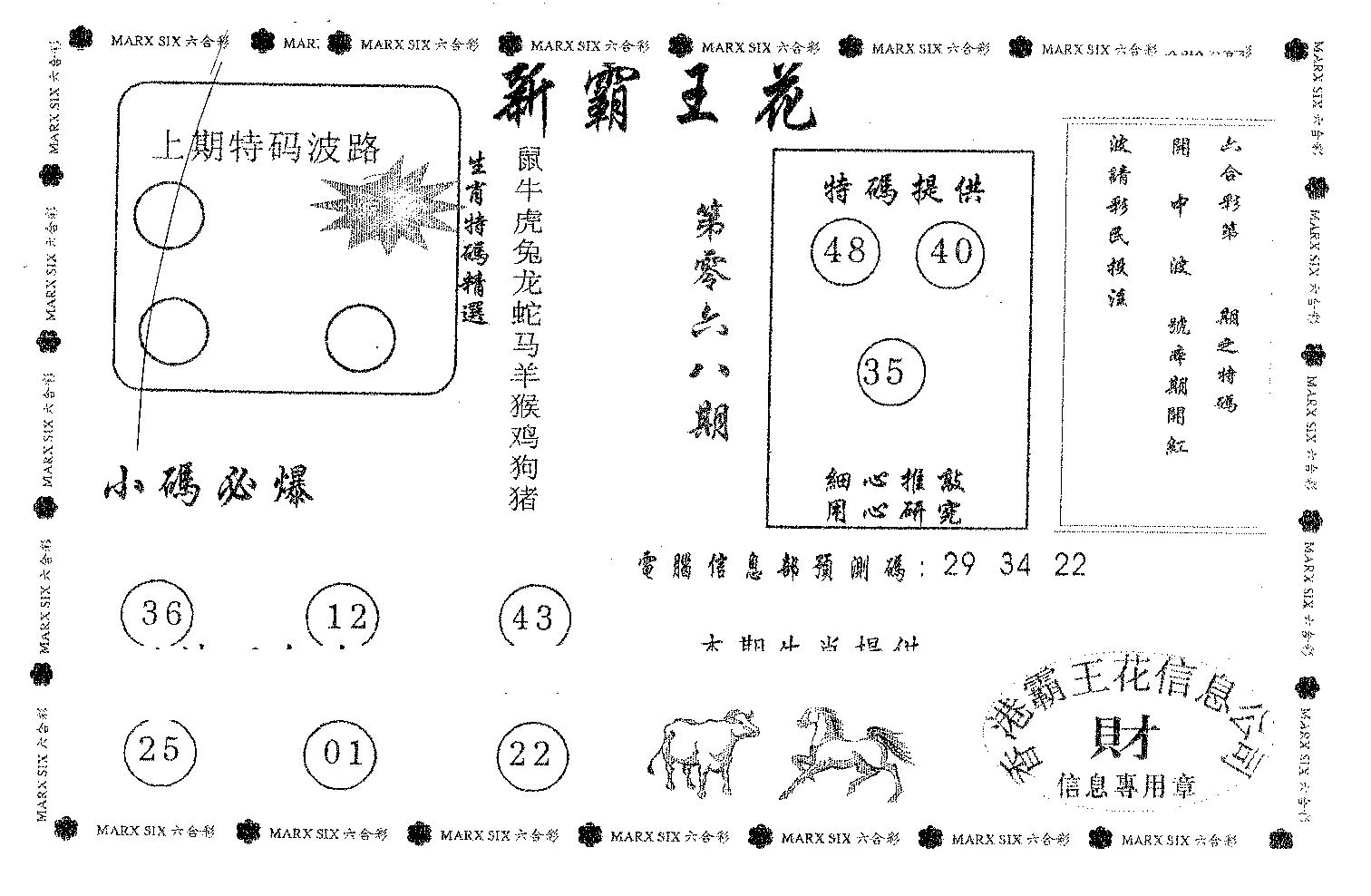 新霸王花-68