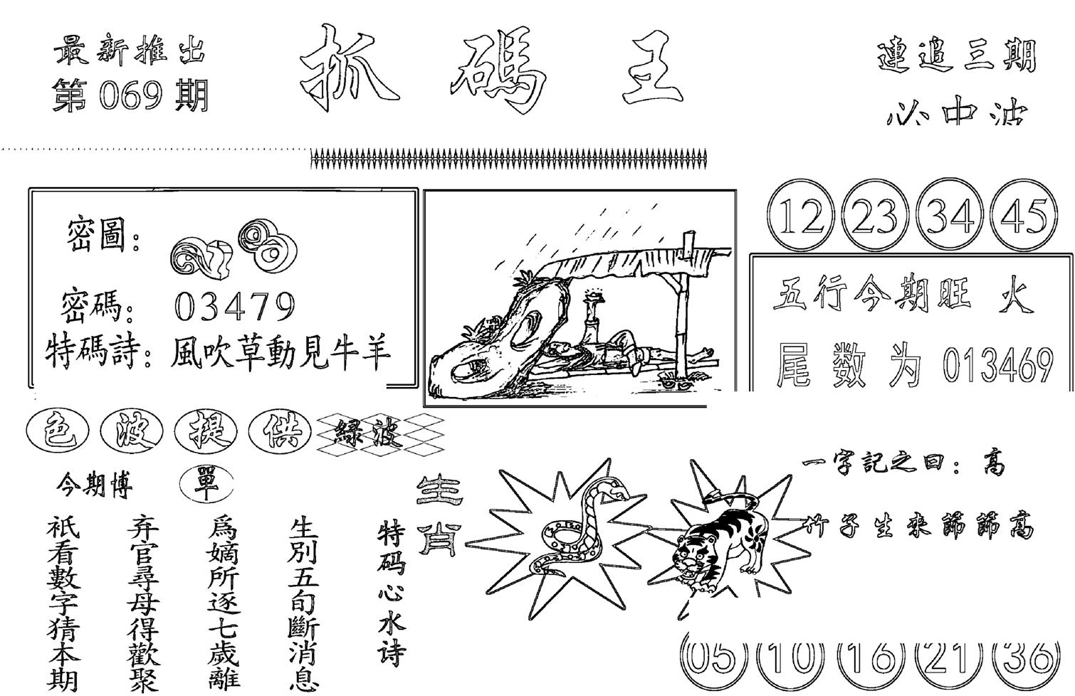 抓码王-69