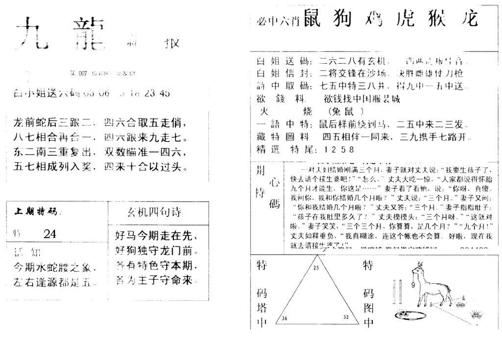 九龙新报(新)-7