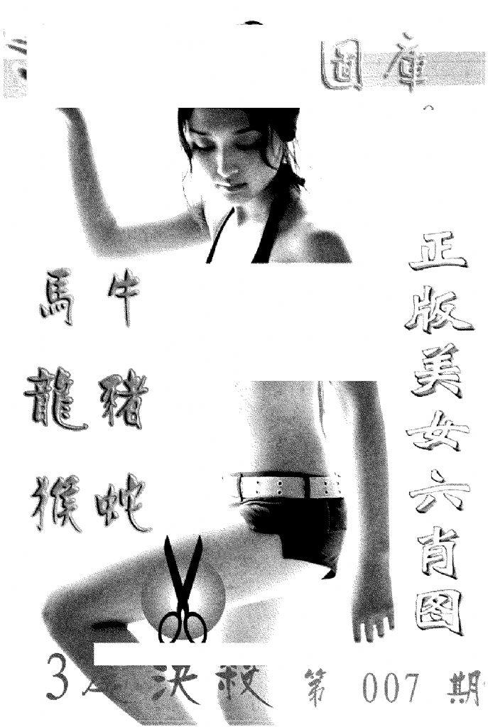 美女六肖报-7