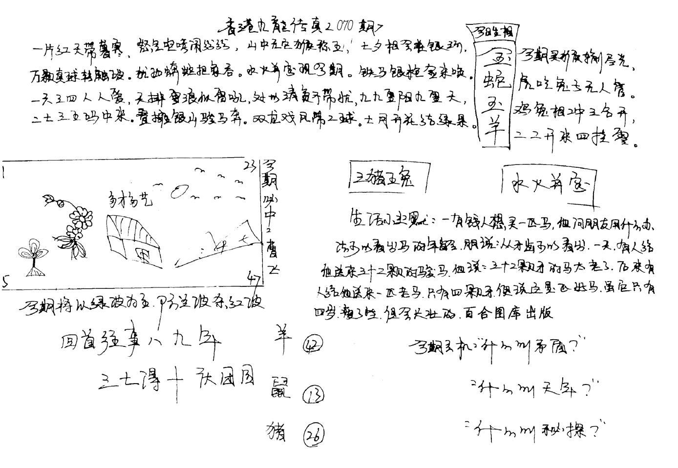 正版手写九龙-70