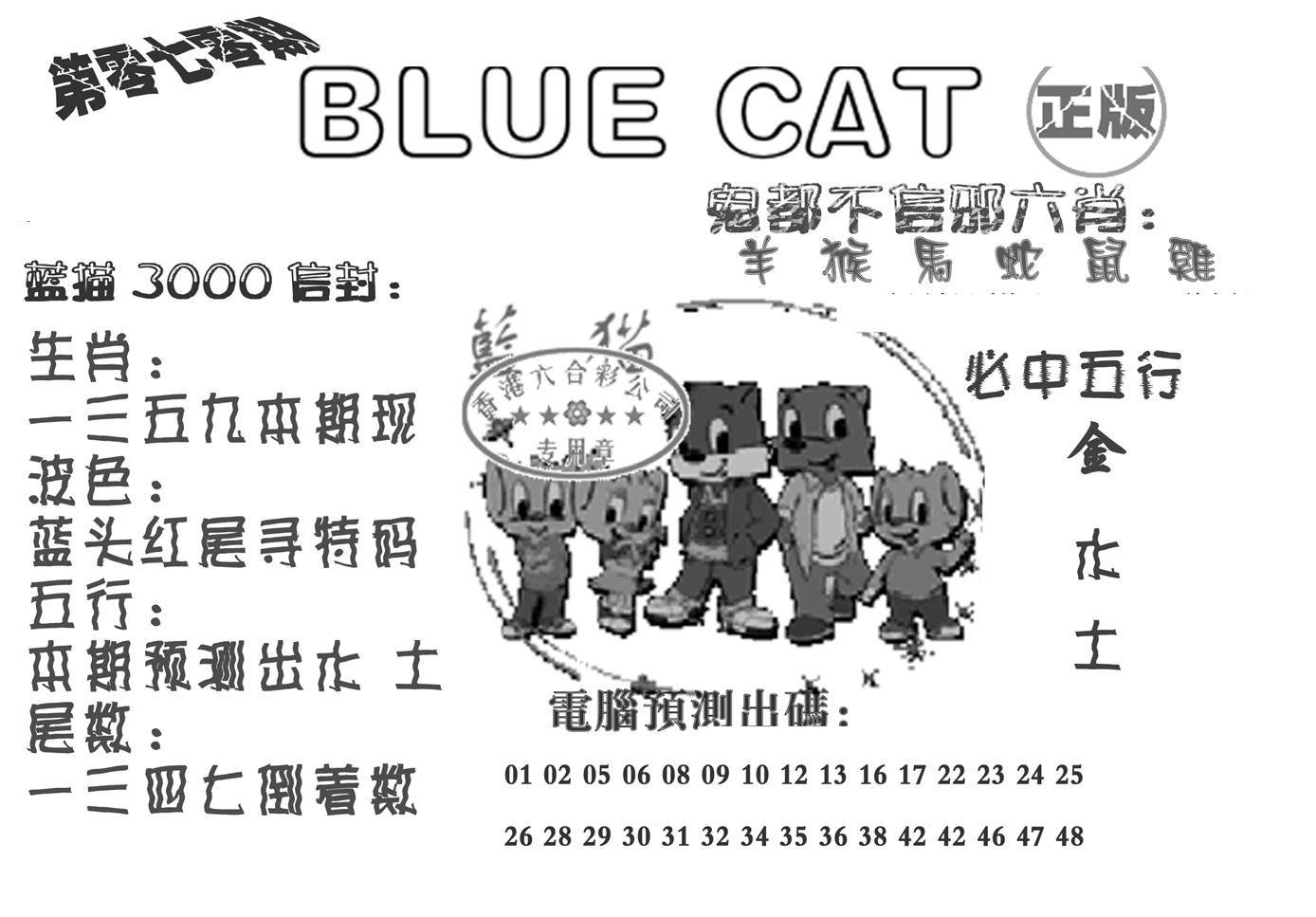 蓝猫Blue Cat-70