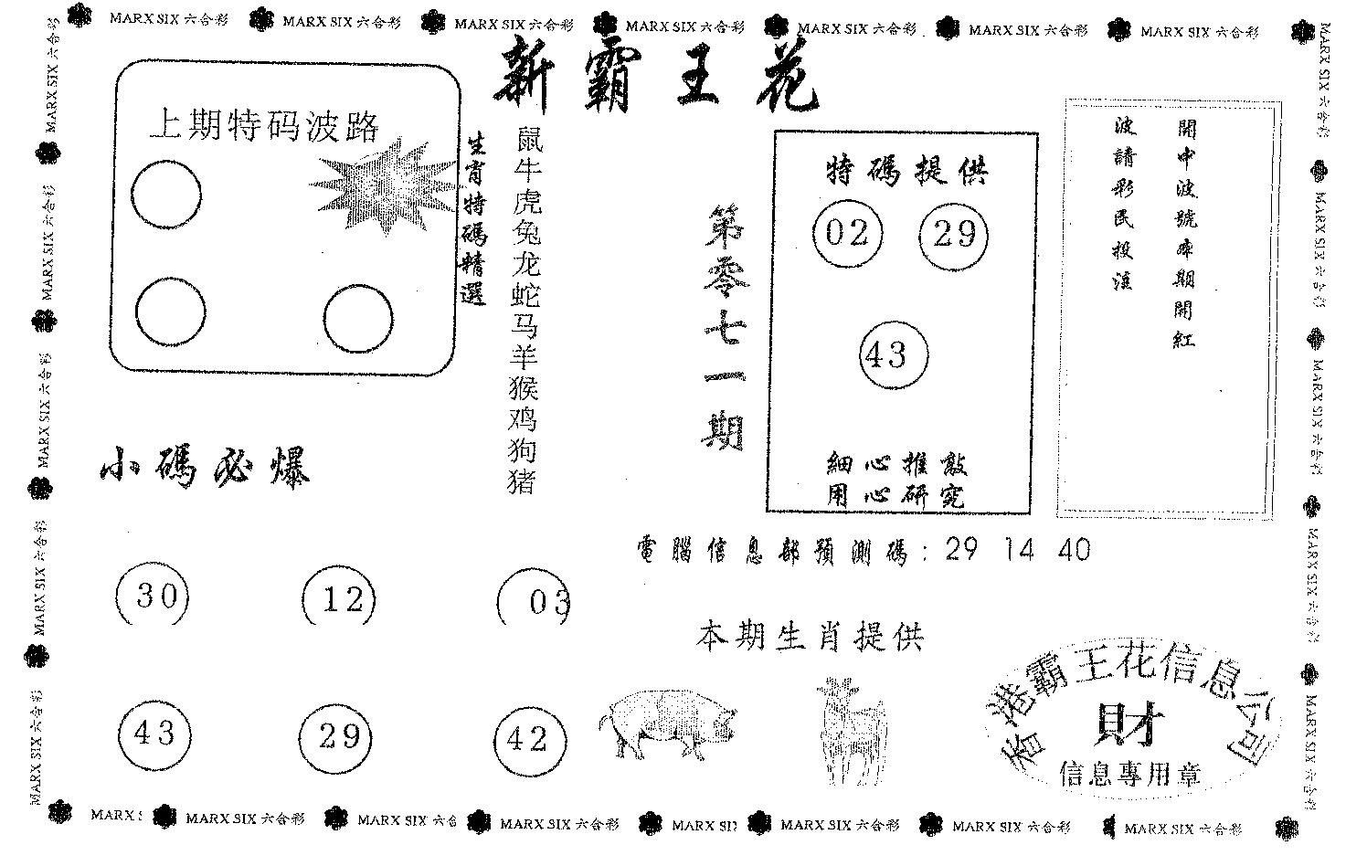 新霸王花-71