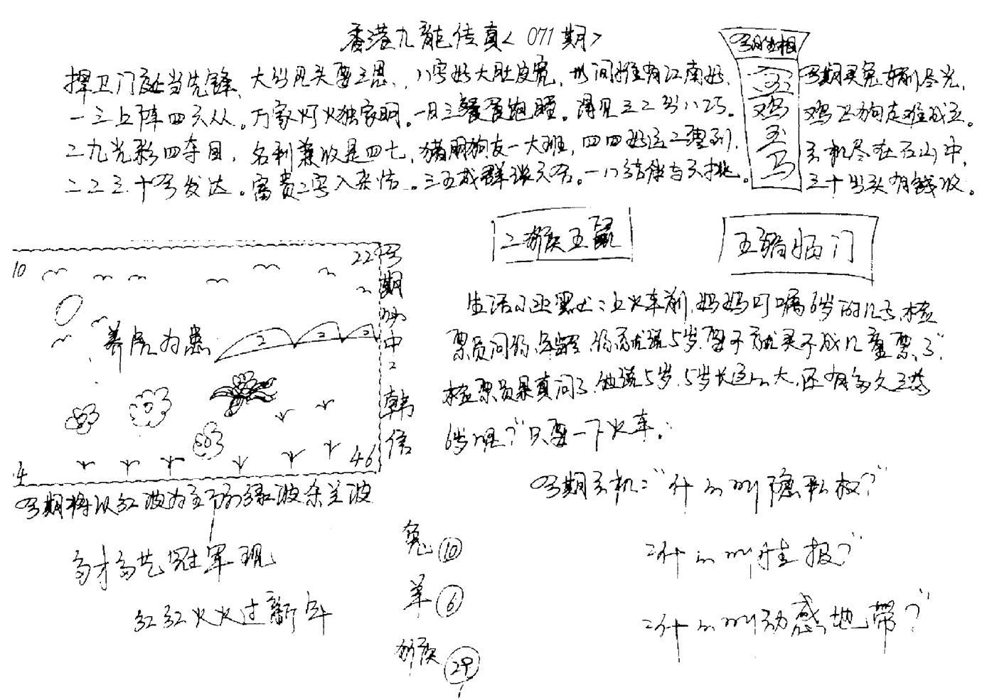 正版手写九龙-71