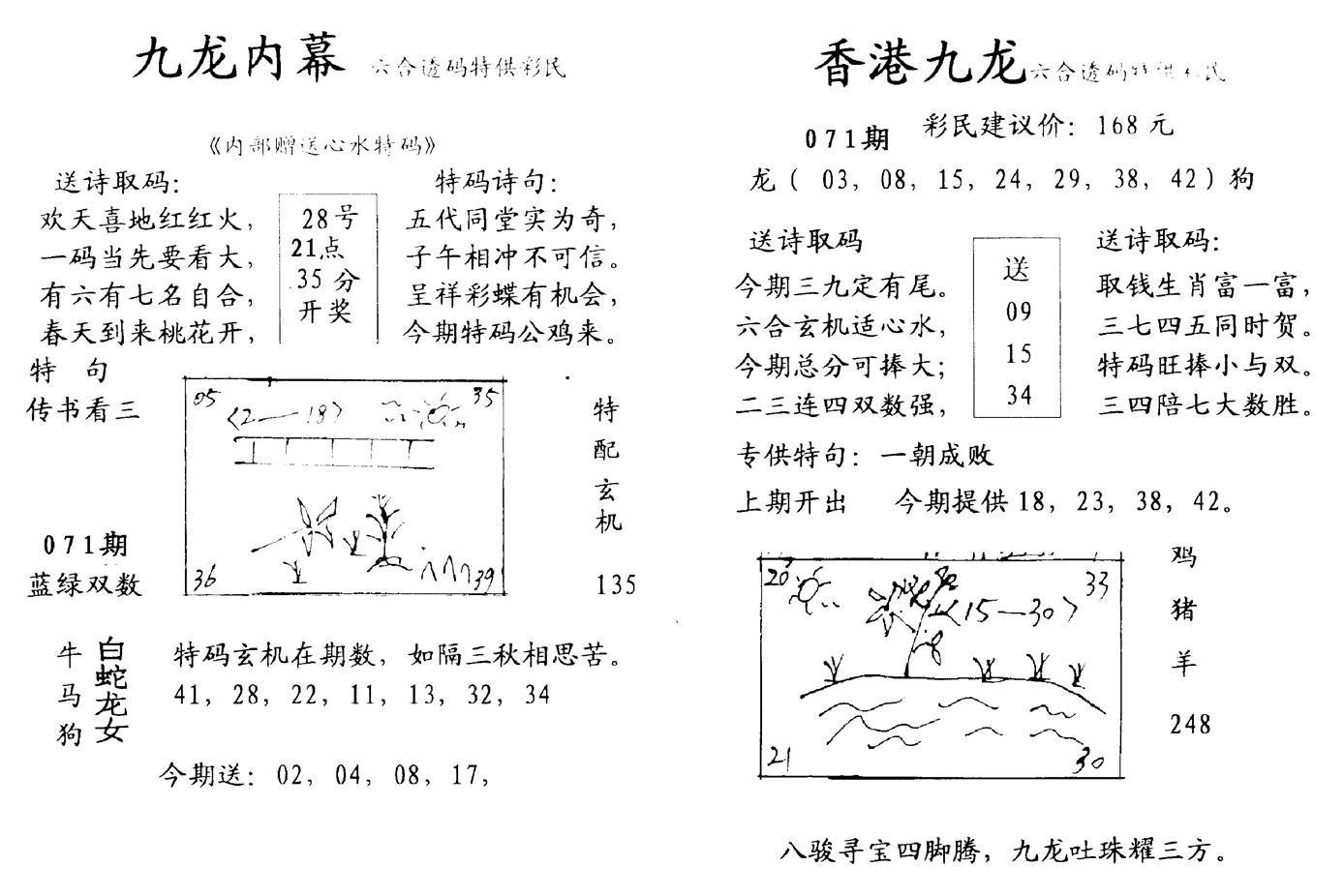 九龙内幕--开奖报-71