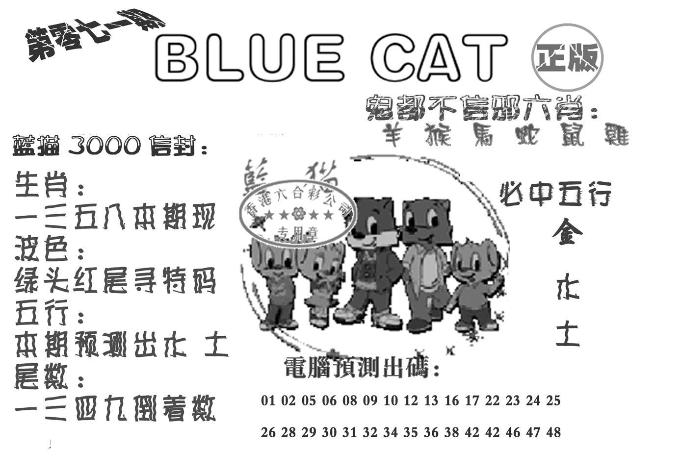 蓝猫Blue Cat-71