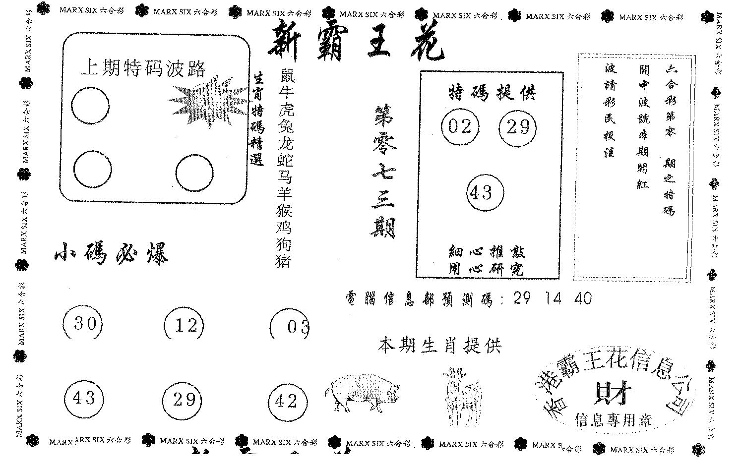 新霸王花-73