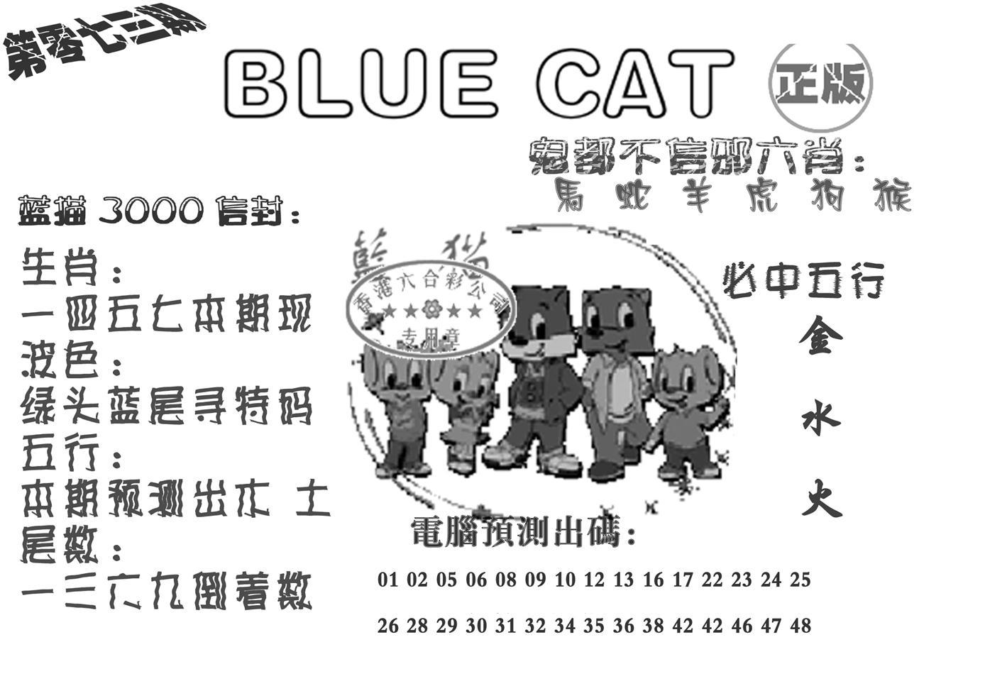 蓝猫Blue Cat-73