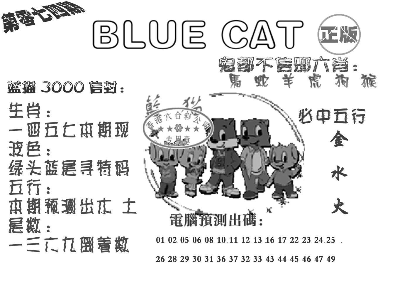 蓝猫Blue Cat-74