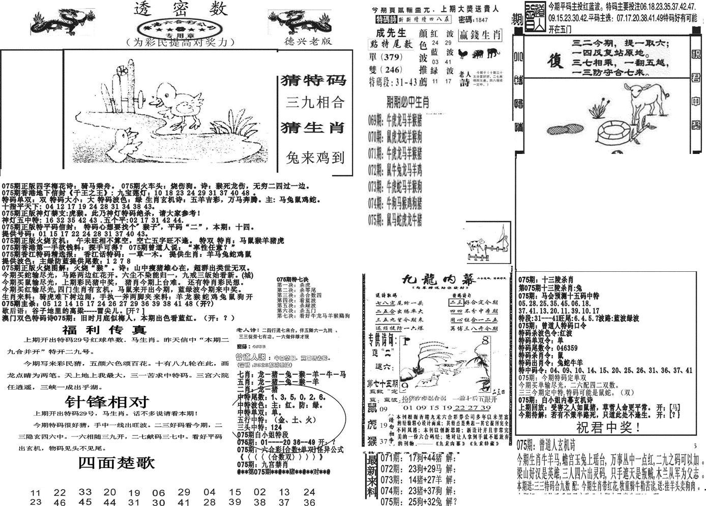 新透密数A(新)-75