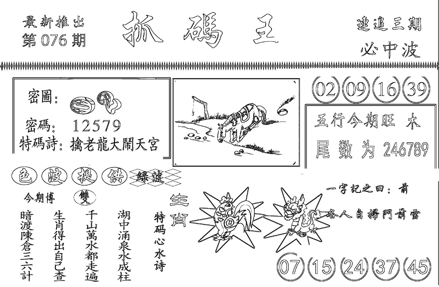 抓码王-76