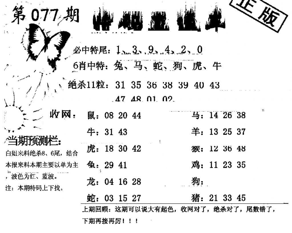 特码直通车-77