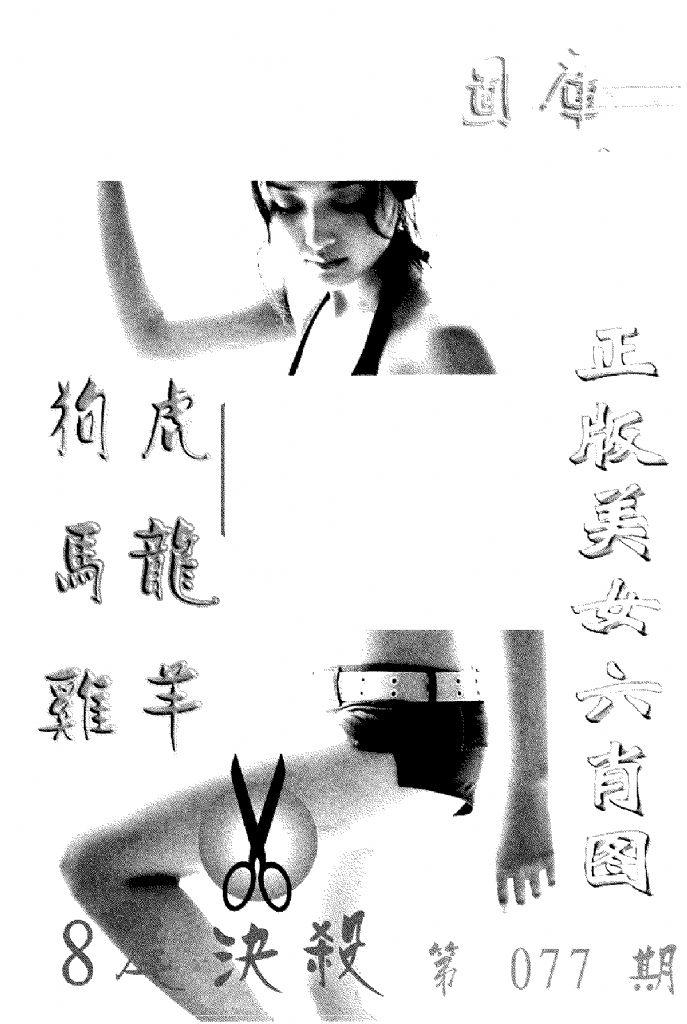 美女六肖报-77