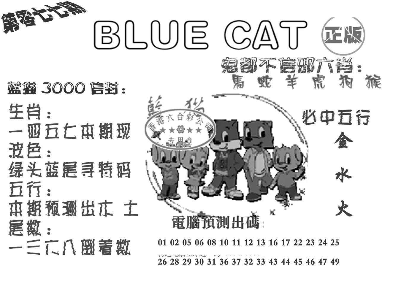 蓝猫Blue Cat-77