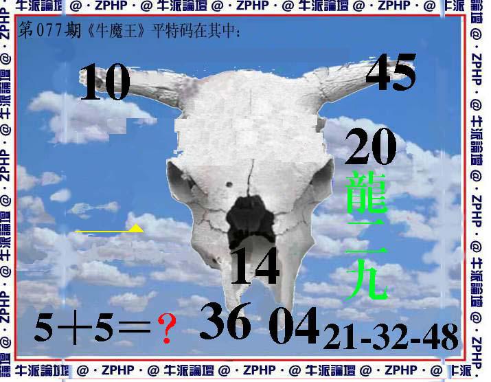 牛派系列8-77