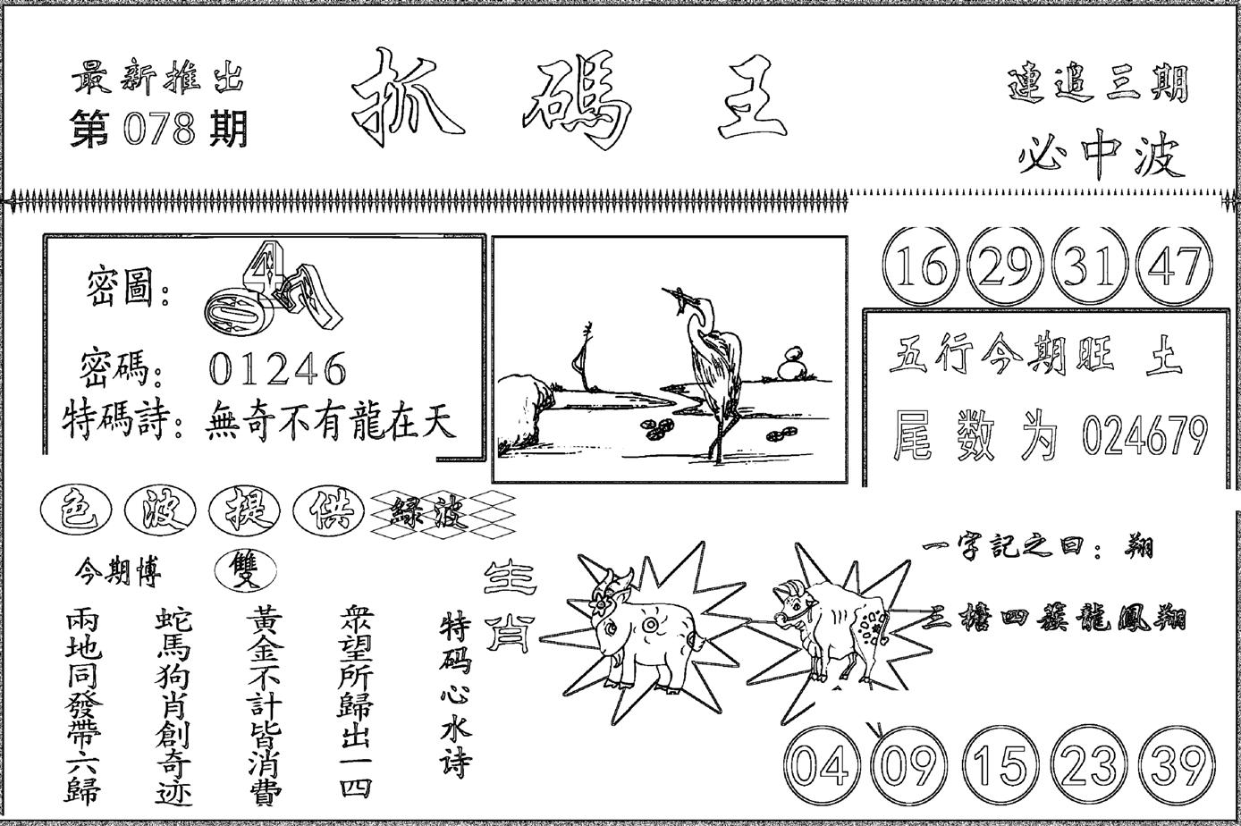 抓码王-78