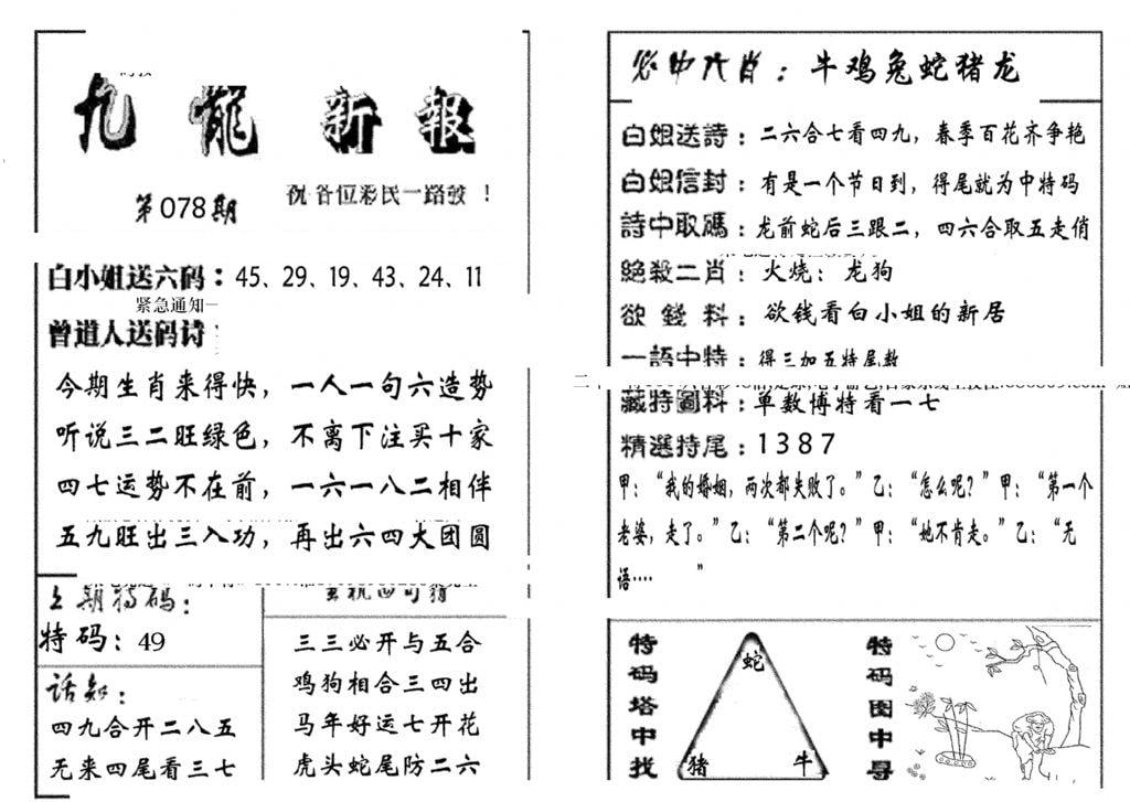 九龙新报(生肖版)-78