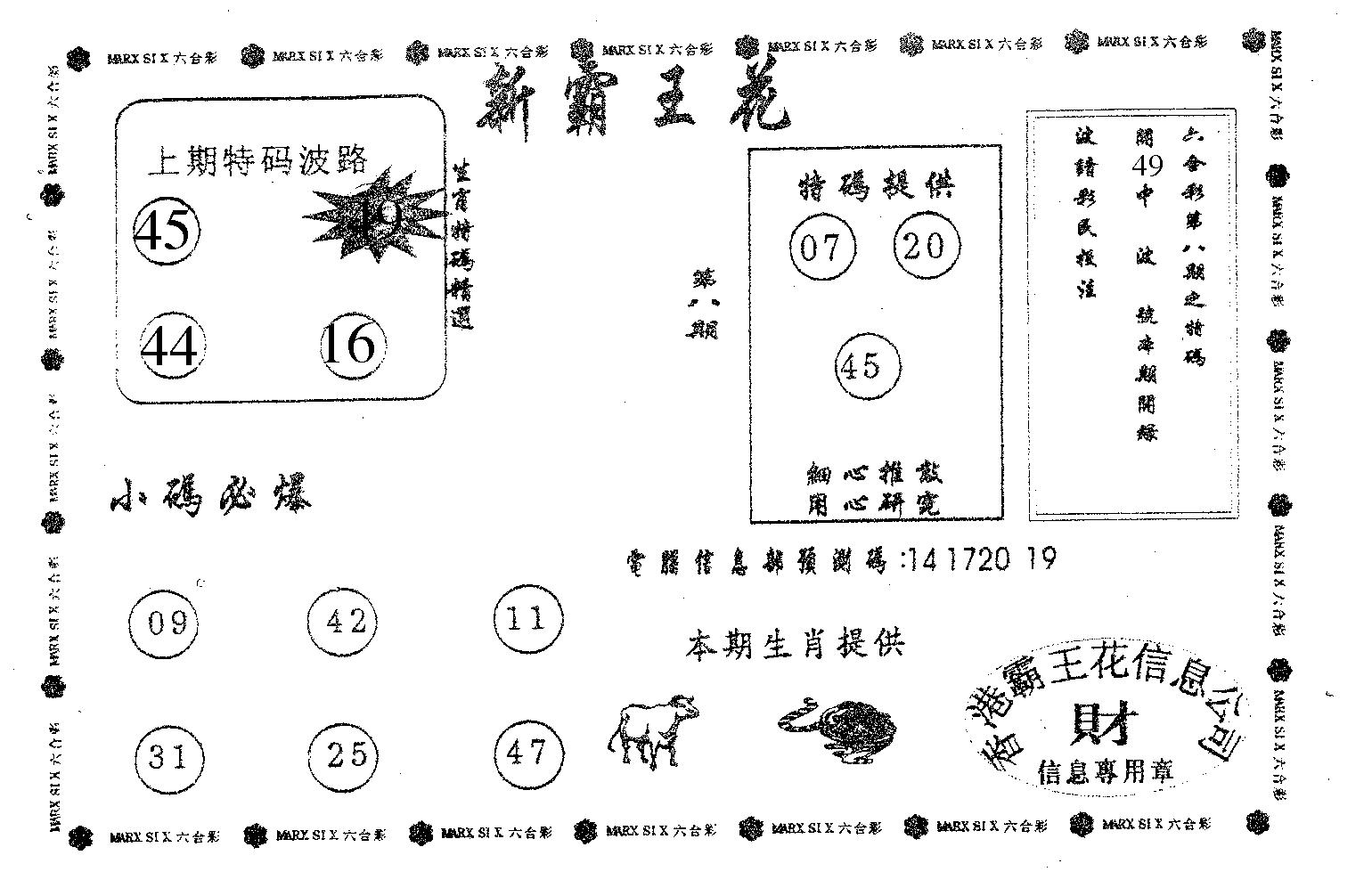 新霸王花-8