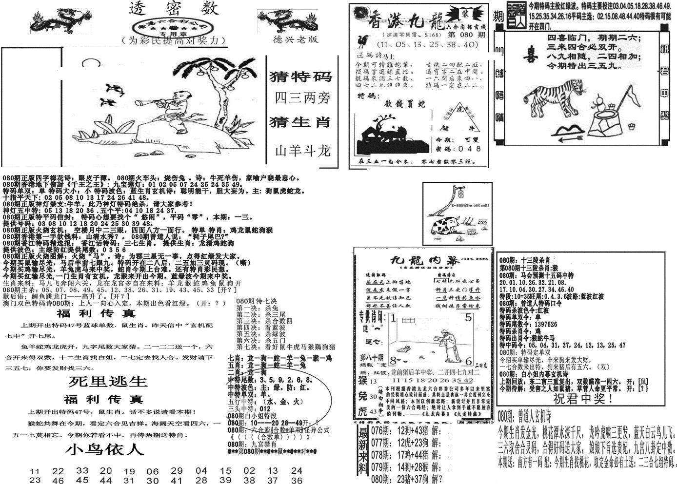 新透密数A(新)-80