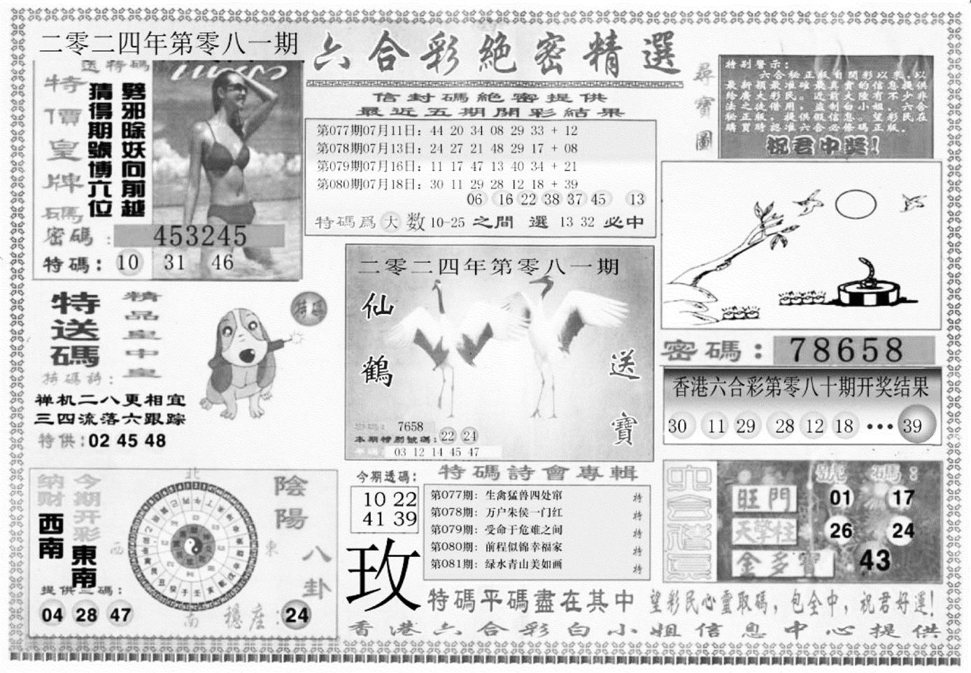 白姐绝密精选A-81