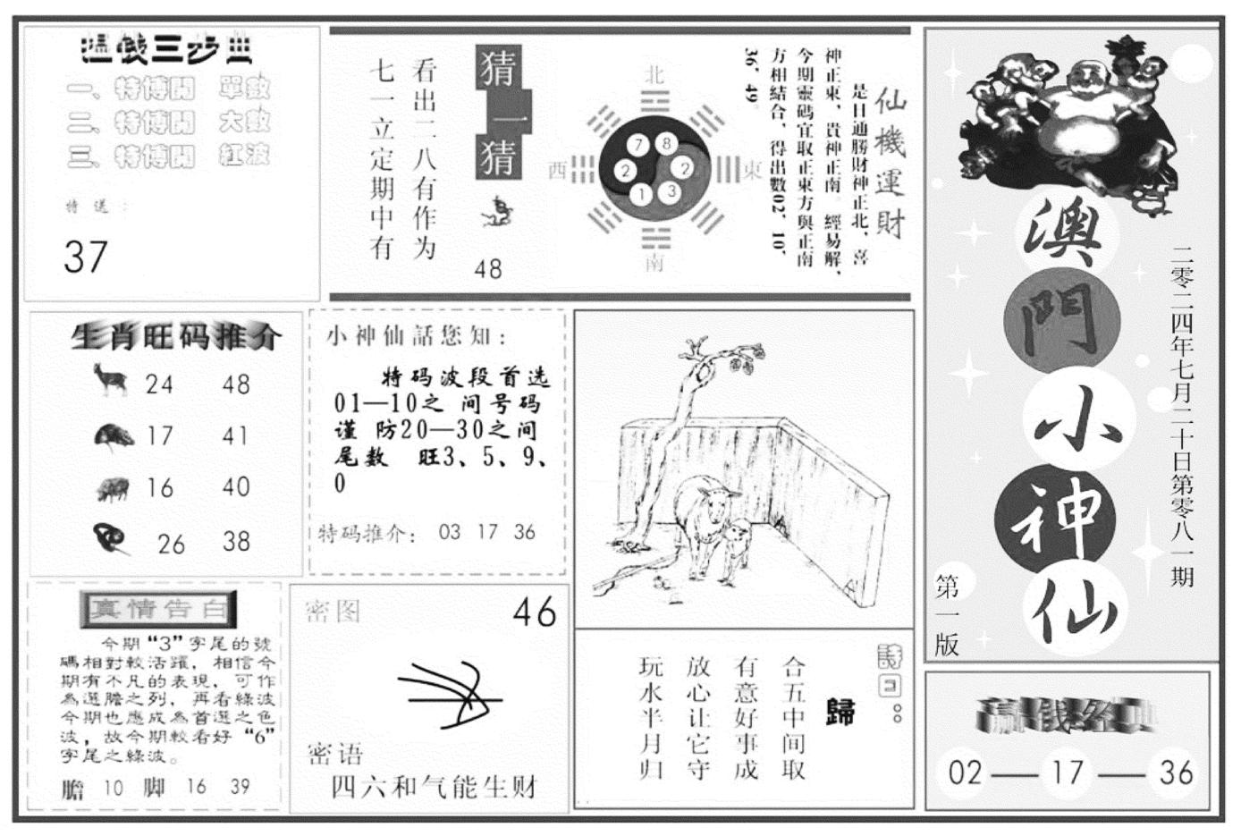 澳门小神仙A-81