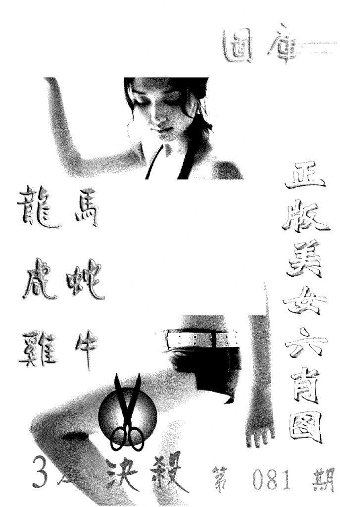 美女六肖报-81