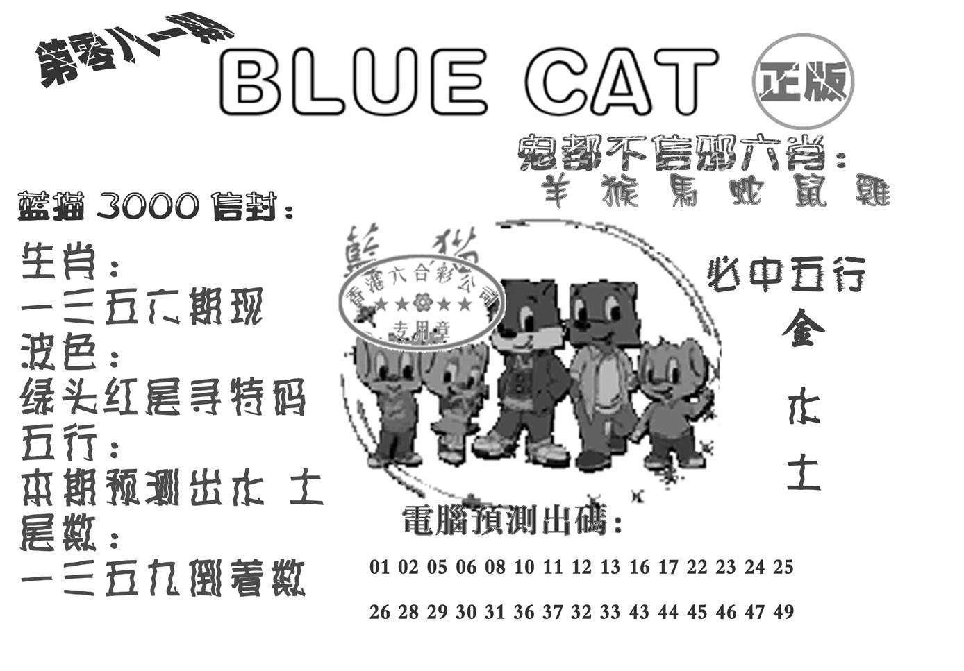 蓝猫Blue Cat-81