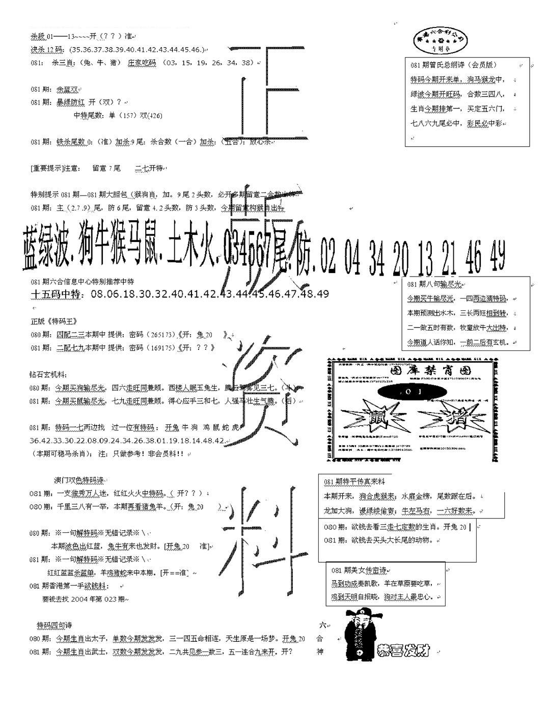 正版资料-81