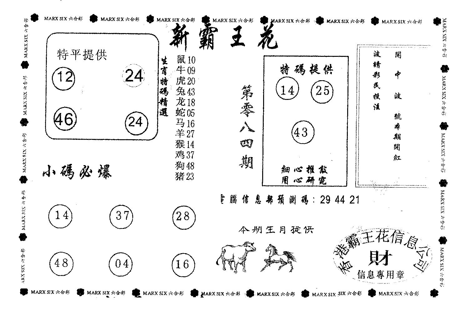 新霸王花-84