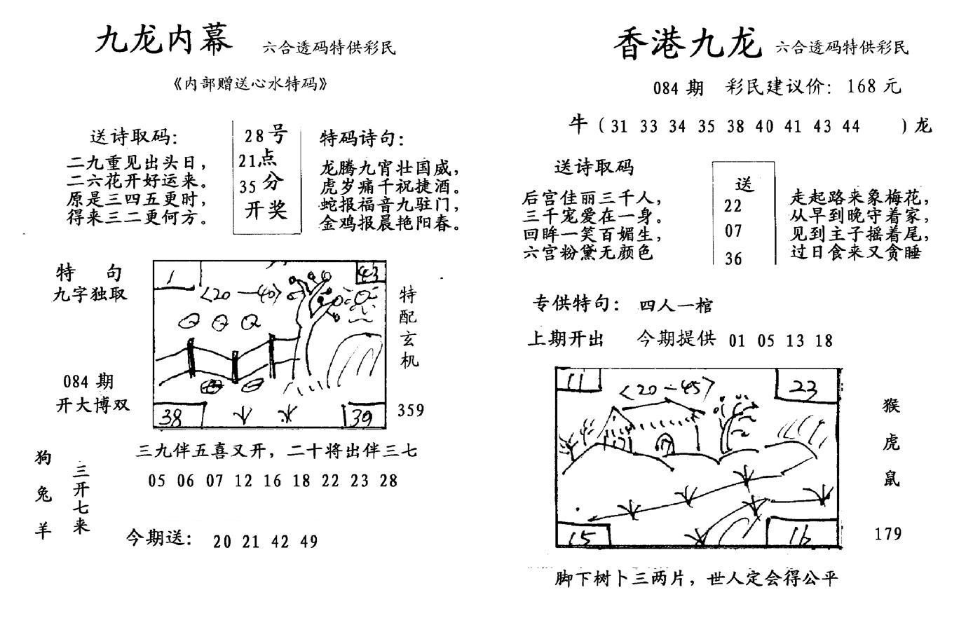 九龙内幕--开奖报-84