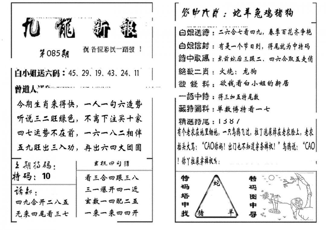 九龙新报(生肖版)-85