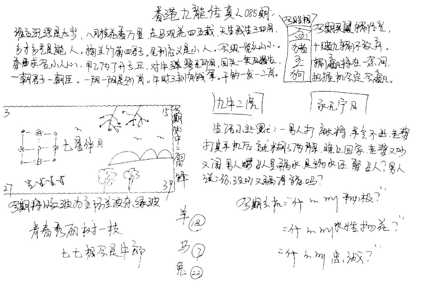 正版手写九龙-85